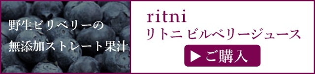 ritni リトニ ビルベリージュース